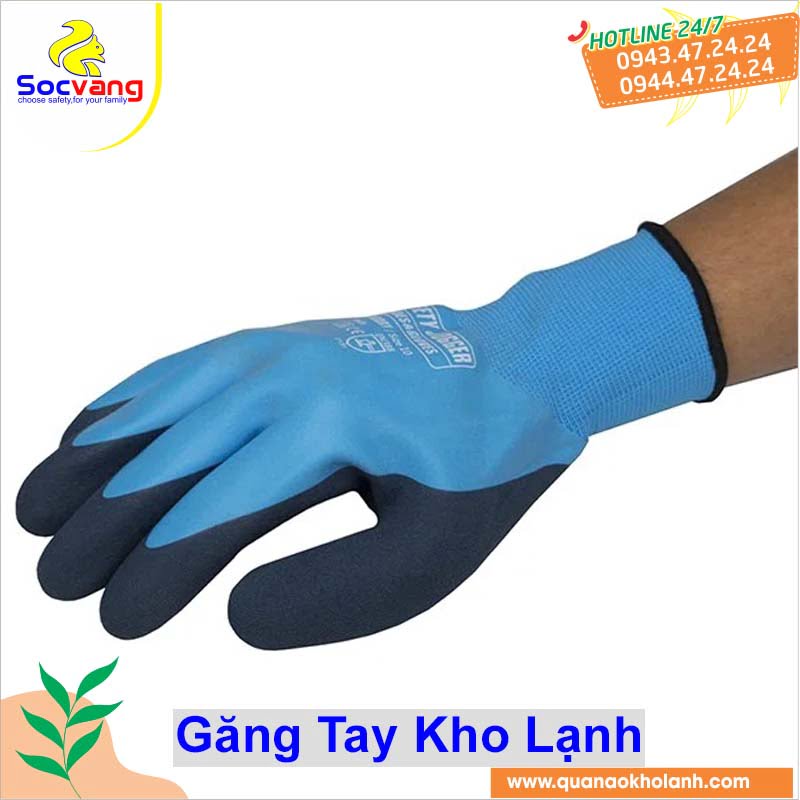 Găng tay Jogger Prodry chống lạnh ướt 21/09/2023